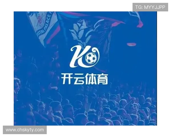开云体育官网多平台兼容支持实现手机电脑同步畅玩无障碍体验
